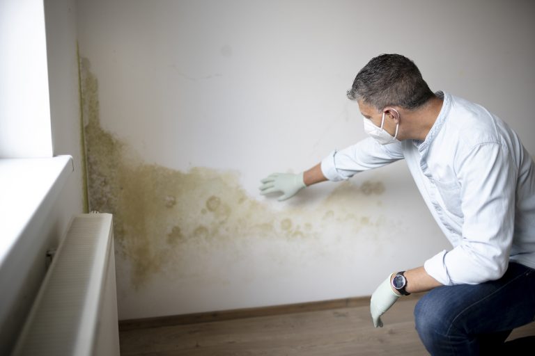 rising damp stevenage